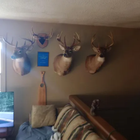 Kevins Spare Bedroom